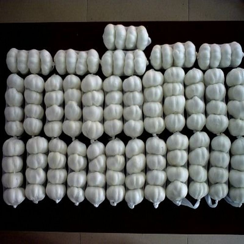 pure white garlic Made in Korea